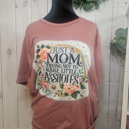 Just a Mom trying